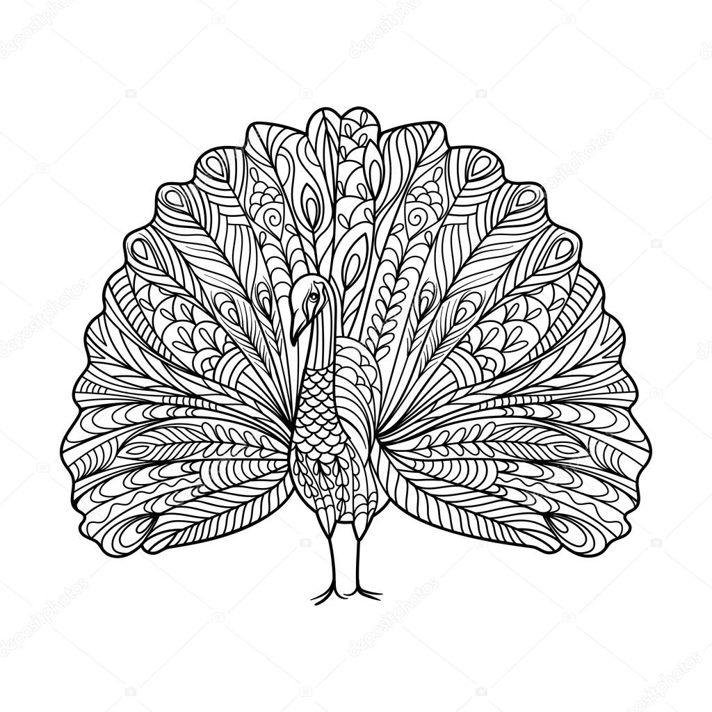 1024x1024 Peacock Bird Coloring Book For Adults Vector Stock Vector