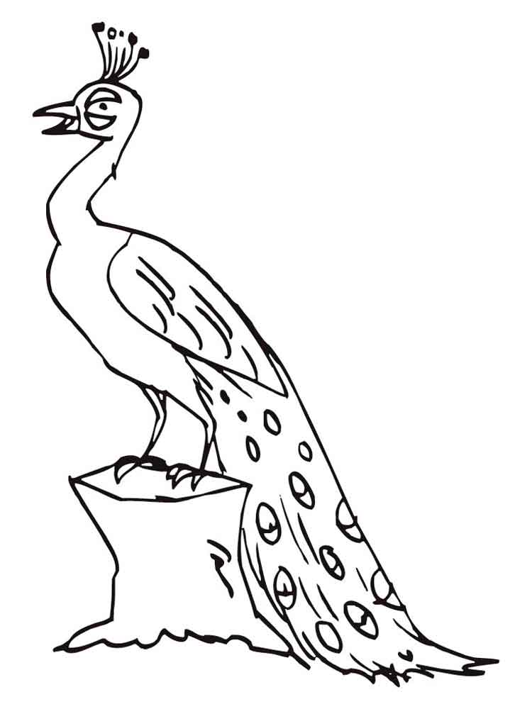 750x1000 Peacock Coloring Pages. Download And Print Peacock Coloring Pages
