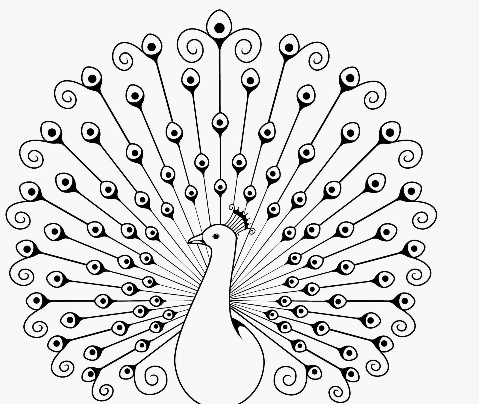 1600x1349 Colour Drawing Free Wallpaper Peacock Coloring Drawing Free Wallpaper