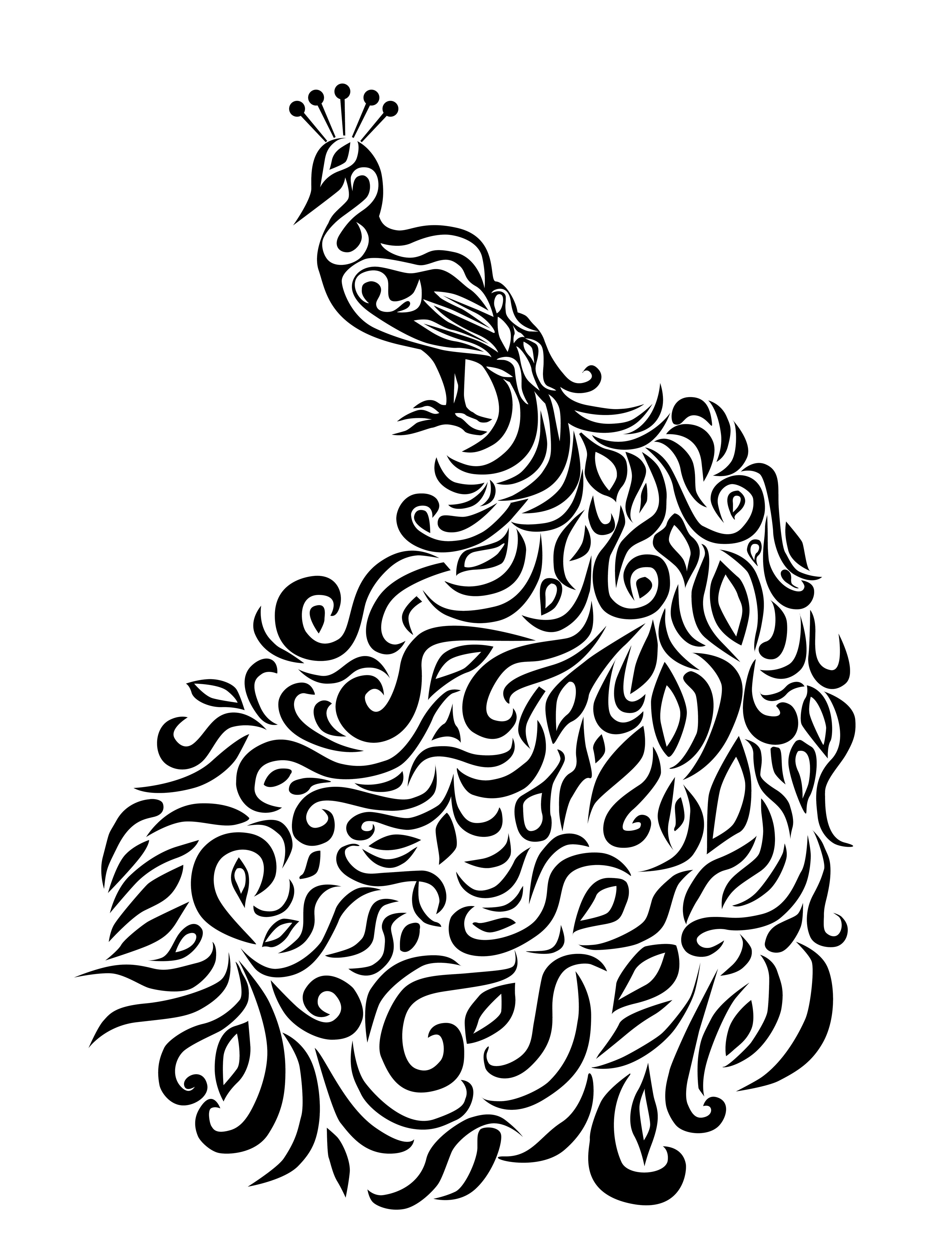 Peacock Black And White Drawing at GetDrawings | Free download