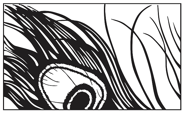 600x370 Peacock Feather Drawing By 3d Angel Studios