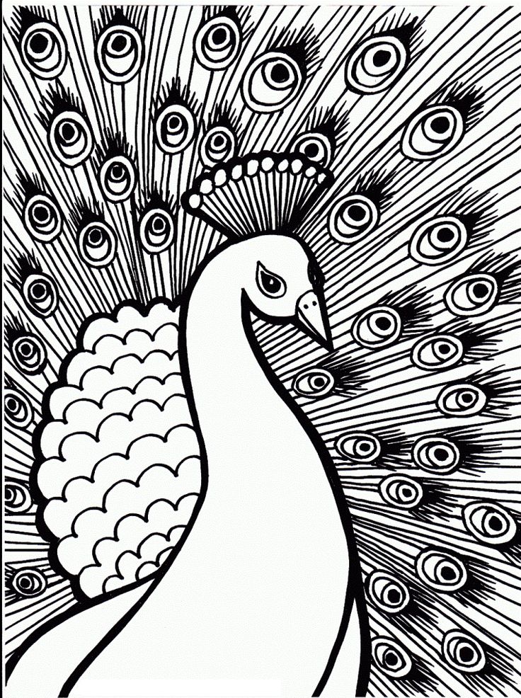 736x986 The Best Peacock Coloring Pages Ideas On Adult