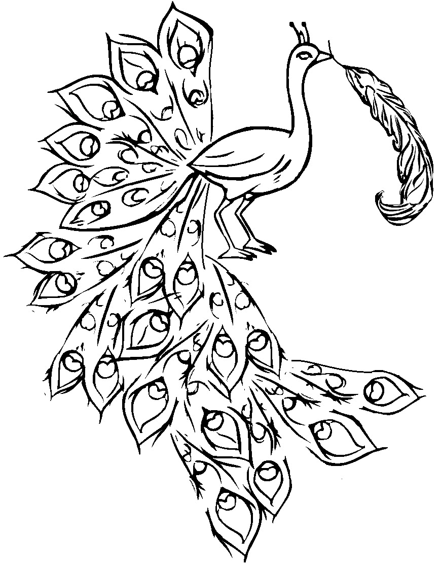 870x1117 Coloring Pages Of Peacocks