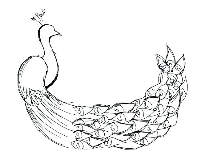 640x521 Cartoon Peacock Coloring Pages Printable For Kids Feather Page