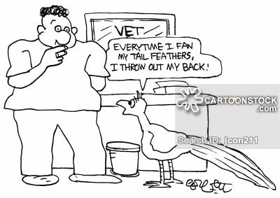 400x283 Peacock Feather Cartoons And Comics