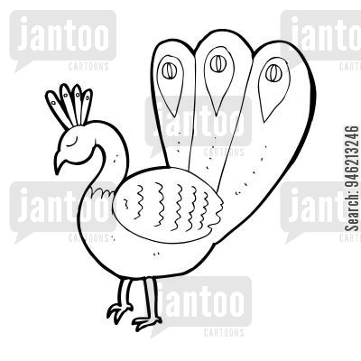 400x400 Peacock Cartoons
