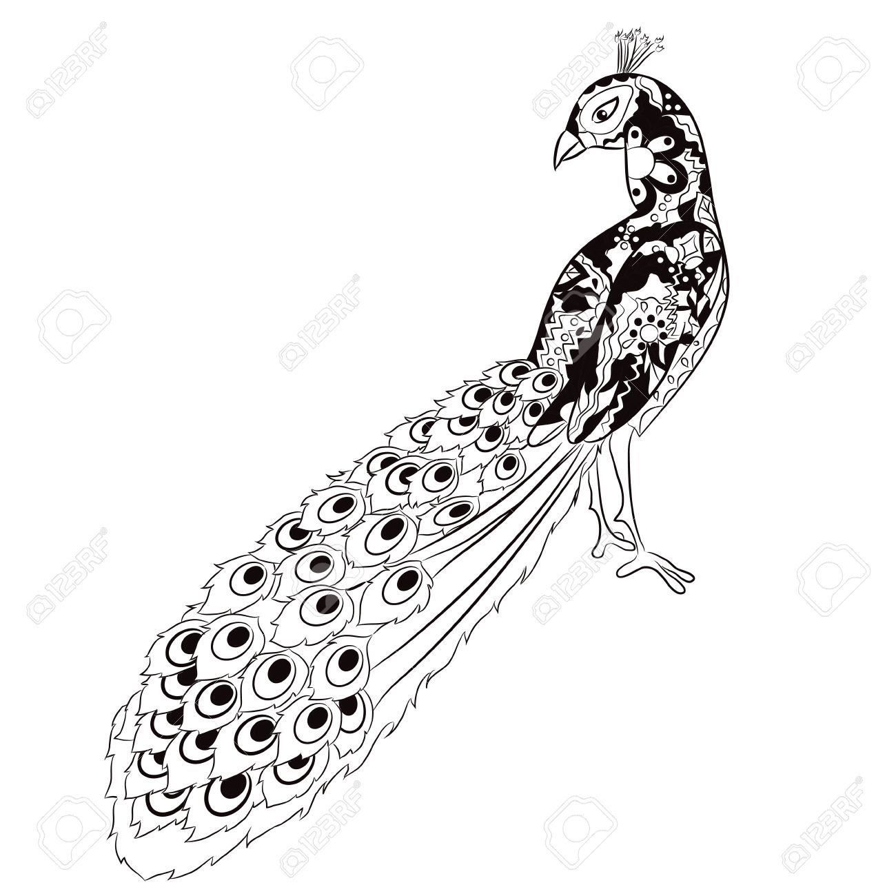 1300x1300 Hand Drawing Peacock Royalty Free Cliparts, Vectors, And Stock