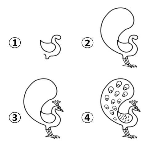 500x500 How To Draw A Peacock For Kids