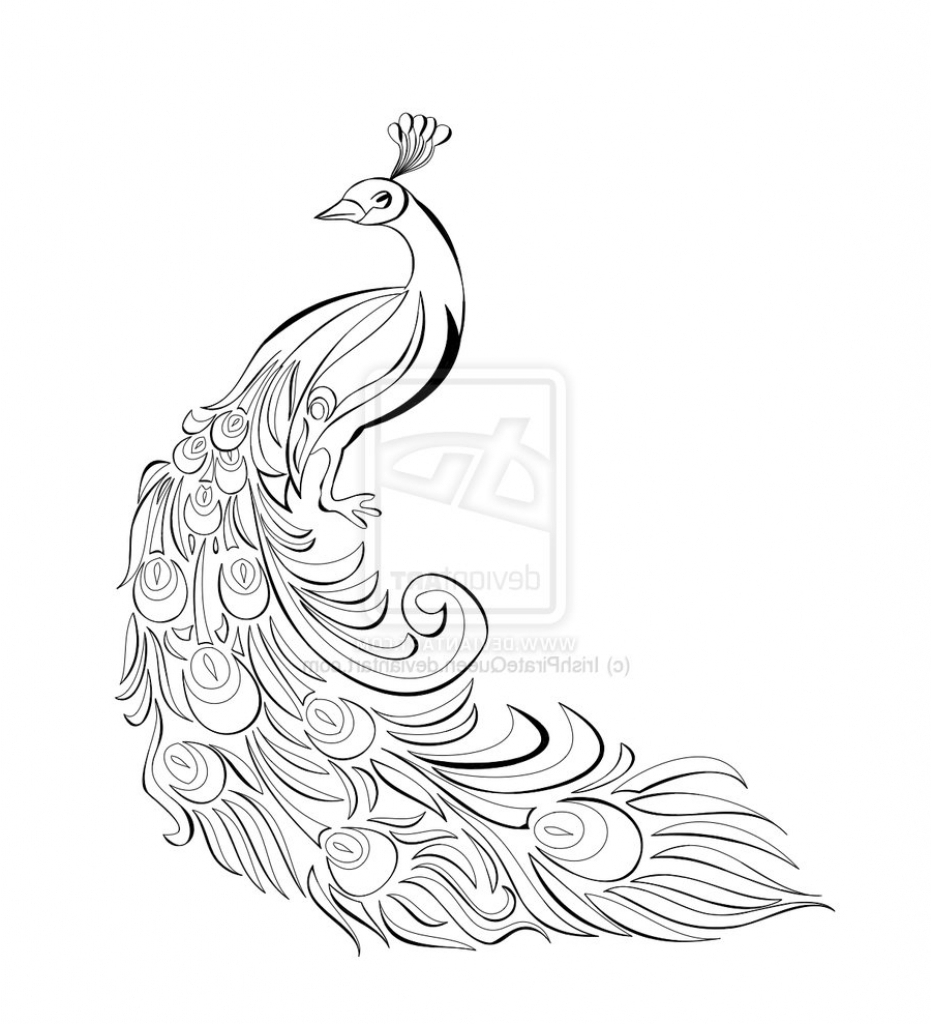 931x1024 Peacock Drawing Images 12 Pics Of Black And White Peacock Coloring