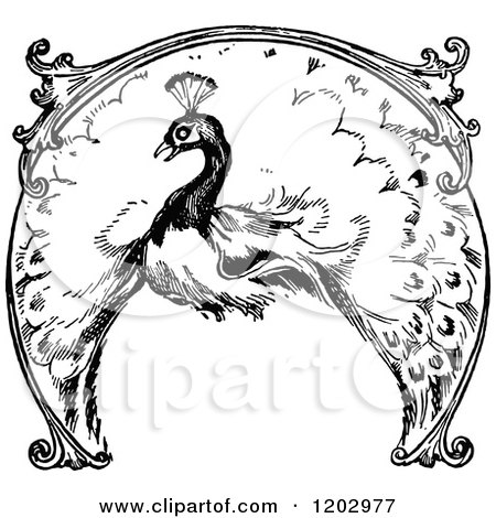 450x470 Cartoon Clipart Of An Outlined Peacock On A Brick Wall