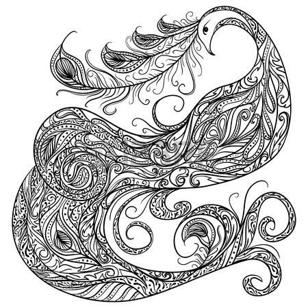 450x450 Drawn Peacock Black And White