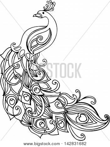 351x470 Drawn Peacock Line