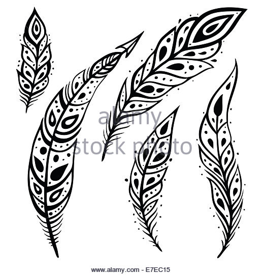 520x540 Peacock Feather Black And White Stock Photos Amp Images