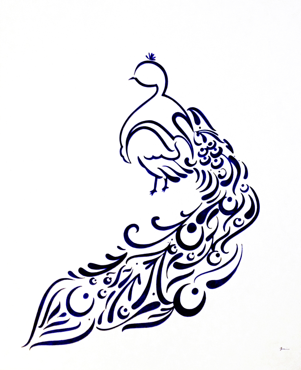 1000x1227 Peacock Line Drawing