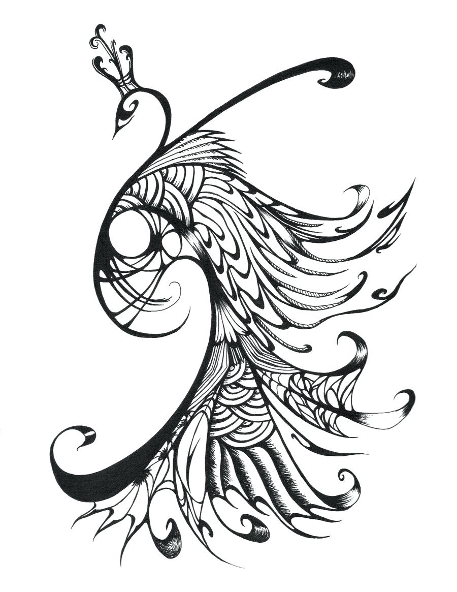 900x1165 Coloring Peacock Feather Coloring Page