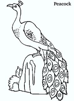 236x321 Peacock animal coloring pages Free Printable Peacock Coloring