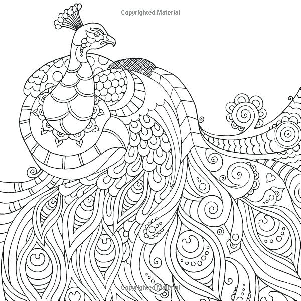 600x600 Peacock Feather Coloring Page Grown Up Colouring Sheets Always Be