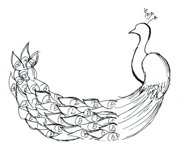618x503 Free Peacock Coloring Page For Grown Ups. Lock Screen Coloring