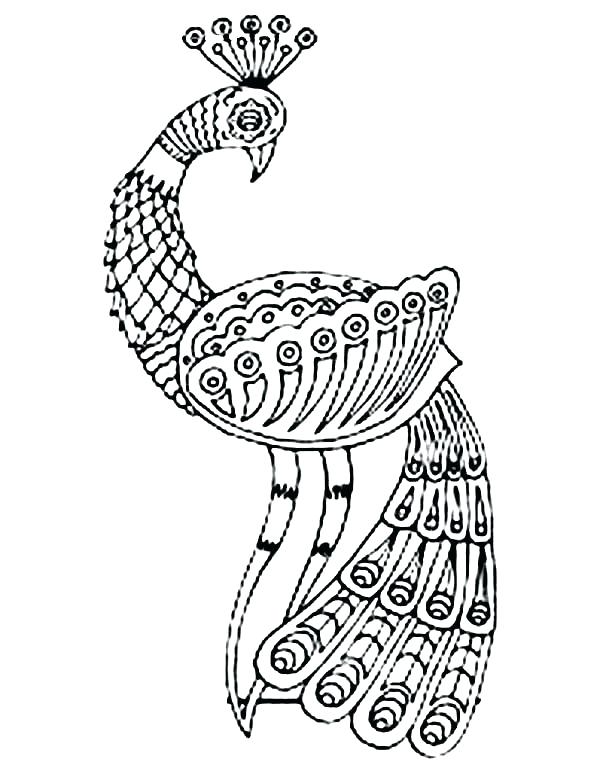 600x777 Peacock Coloring Page