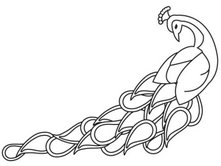 221x166 Drawn Peacock Graphic Design