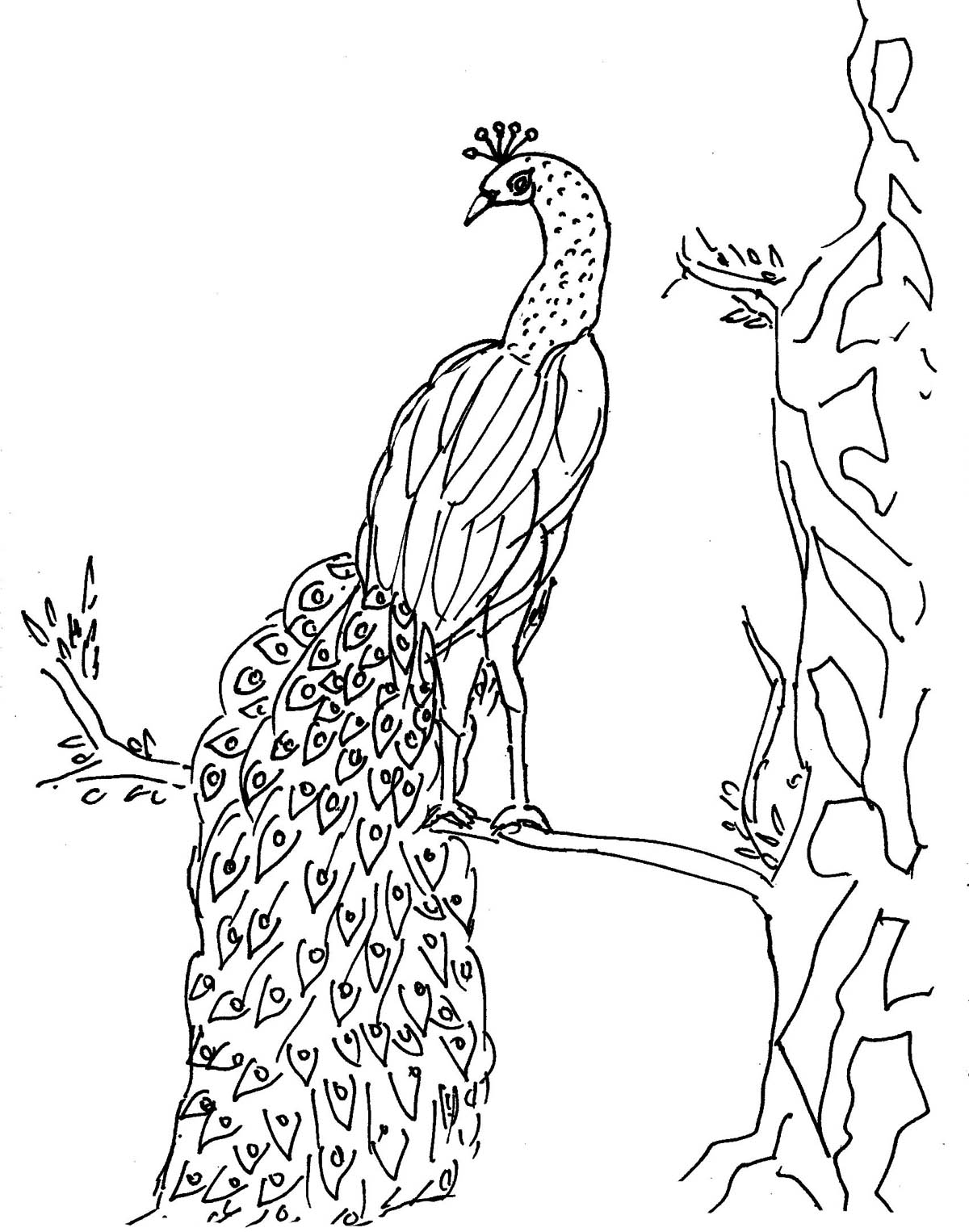 1200x1526 Glass Painting Patterns