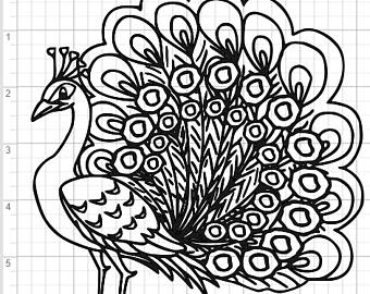 340x270 Peacock Design Etsy