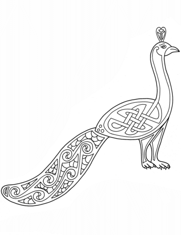 371x480 Celtic Peacock Design Coloring Page Free Printable Coloring Pages