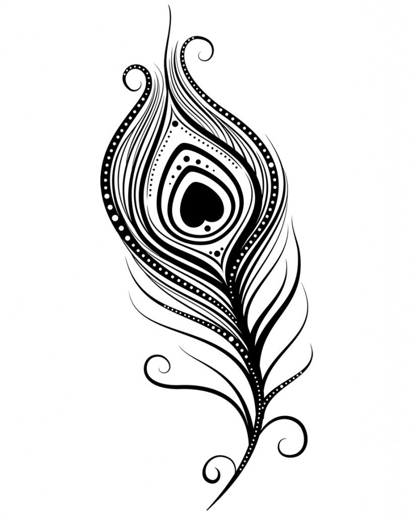 821x1024 Peacock Feather Drawing