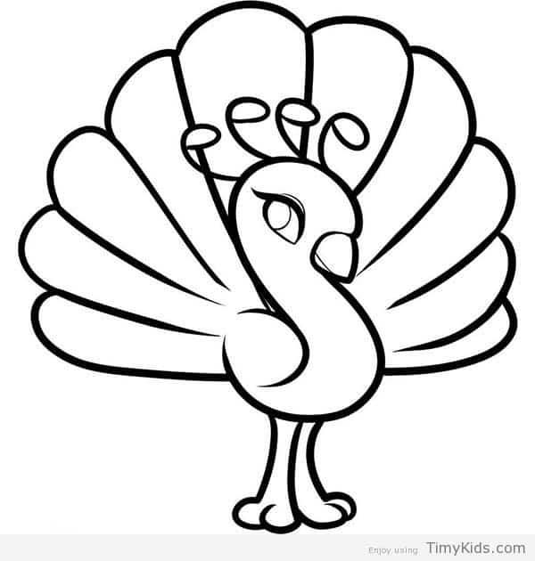 Peacock Drawing For Kids