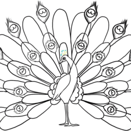 268x268 Free Printable Peacock Coloring Pages For Kids Drawings To Colour