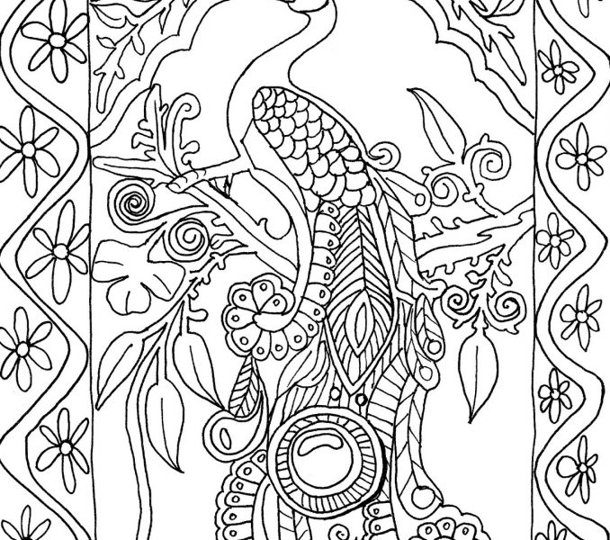 678x600 Inspirational Coloring Pages Peacock 61 For Free Coloring Kids