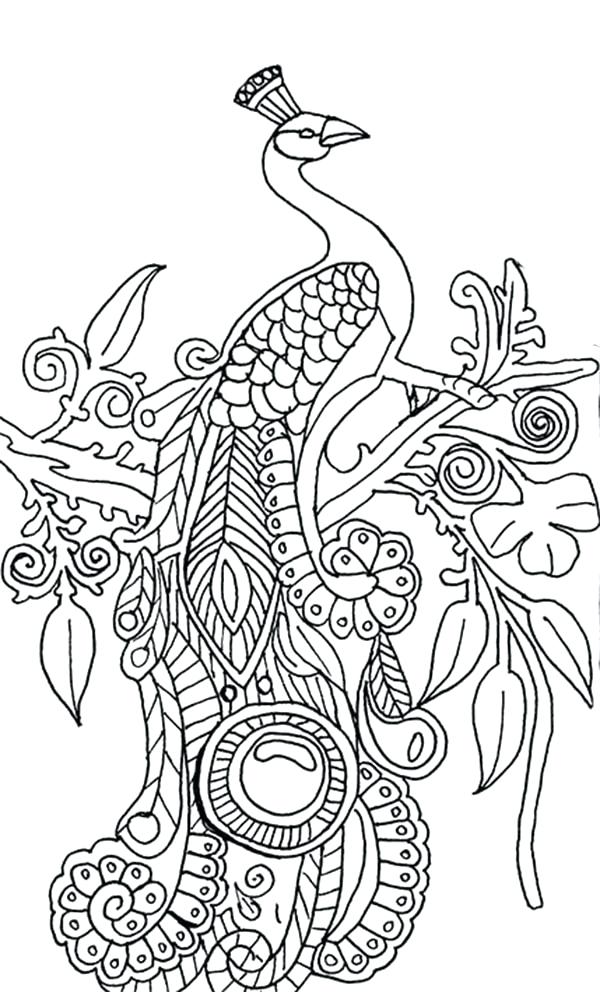 600x992 Peacock Feather Coloring Page Fish Coloring Pages Animals Kids