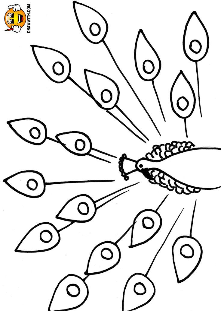 735x1031 The Best Peacock Coloring Pages Ideas On Adult