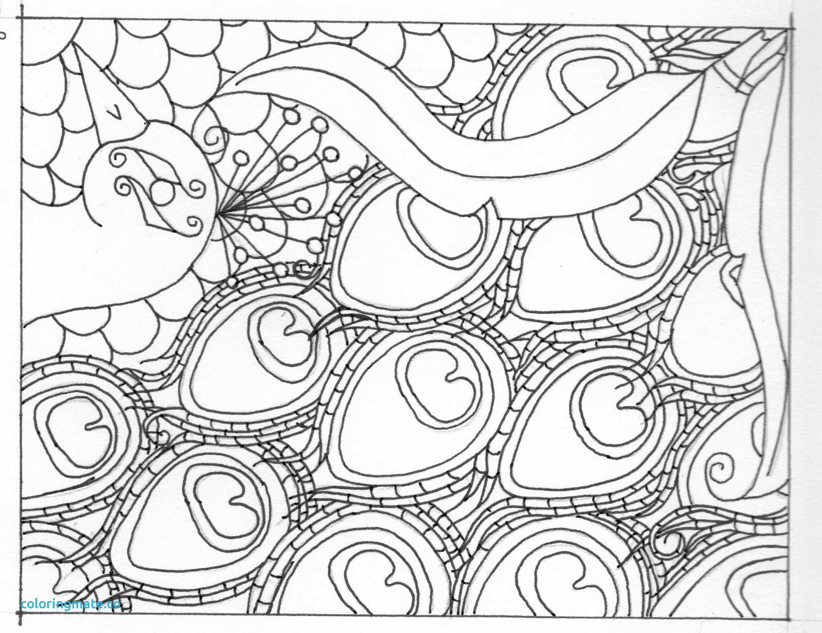 1600x1232 37 Peacock Coloring Page