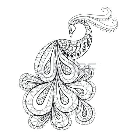 450x450 Peacock Feather Coloring Page Peacock Feather Coloring Page Medium