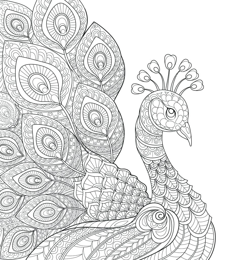 896x1024 Wonderful Coloring Pages Of Peacocks 32