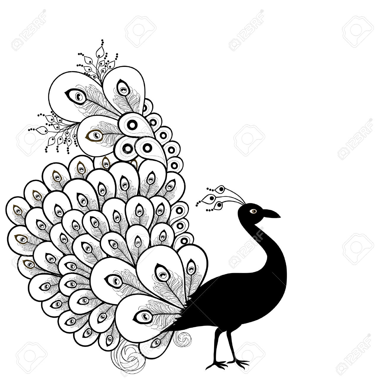 1300x1300 Drawing Of Peacock In Black And White Peacocks Coloring Pages