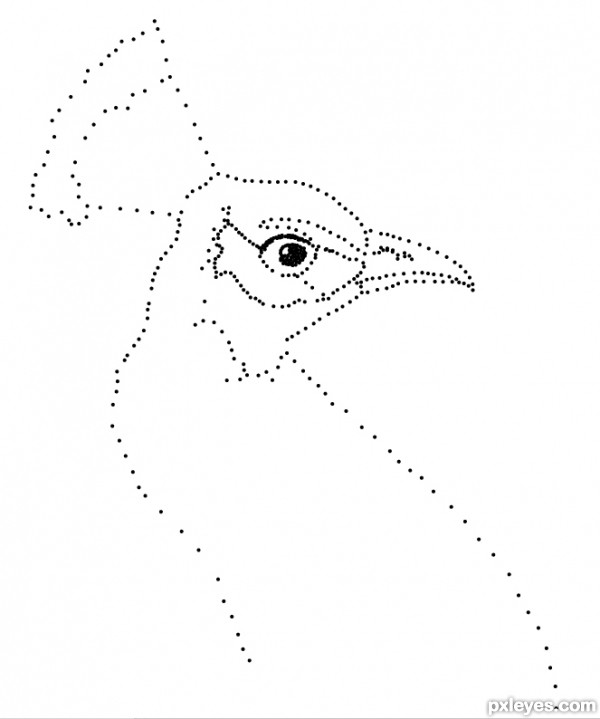 600x719 Drawing Guide