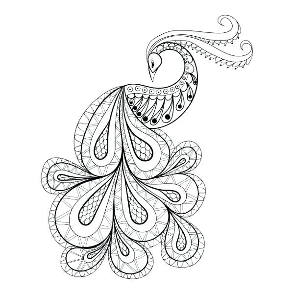 600x600 Peacock Feather Coloring Page Grown Up Colouring Sheets Always Be