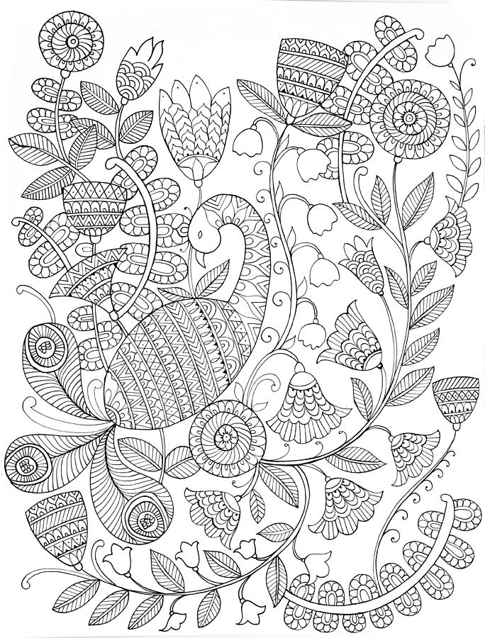 684x900 Bird Peacock 9 Drawing By Neeti Goswami
