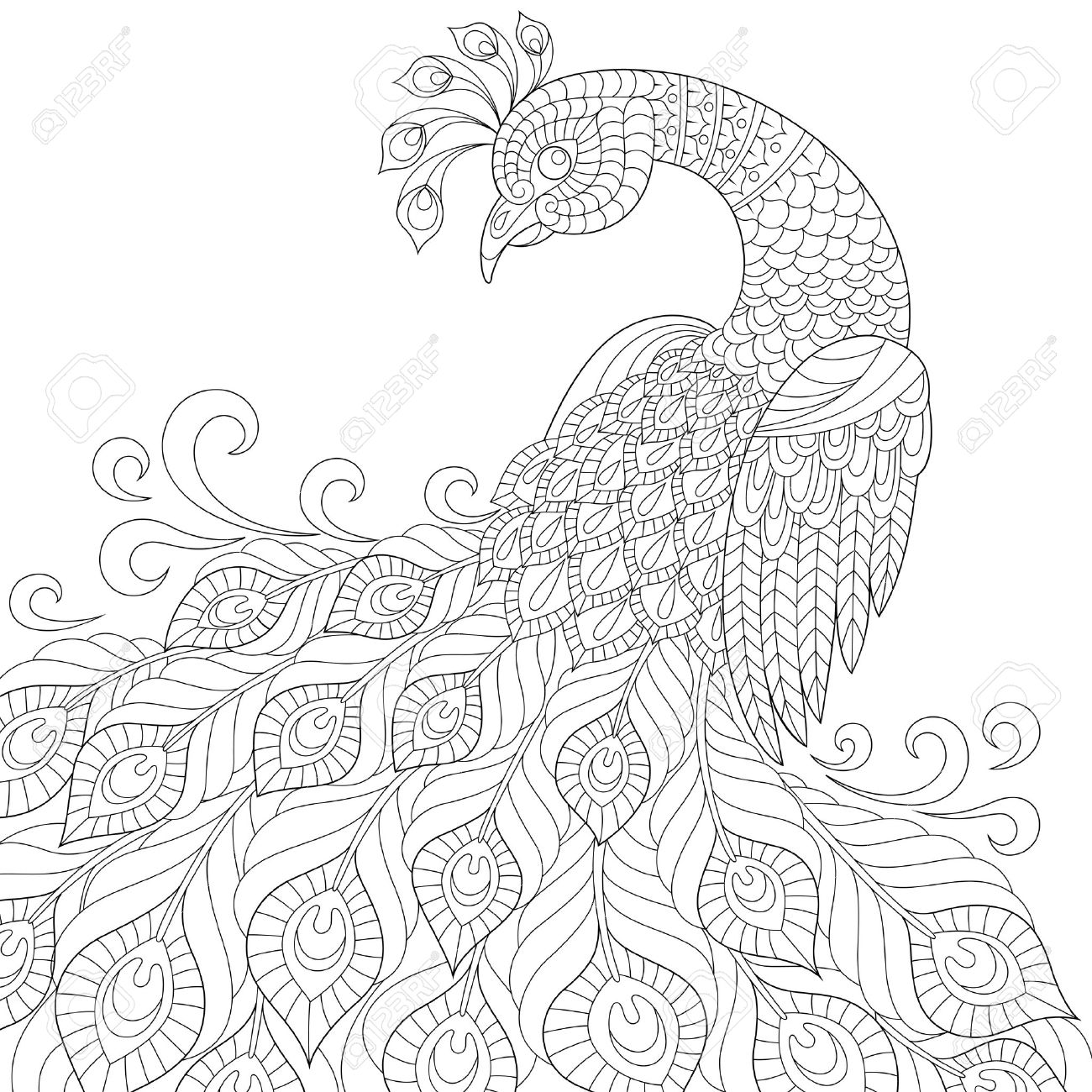 1300x1300 Decorative Peacock. Adult Anti Stress Coloring Page. Black