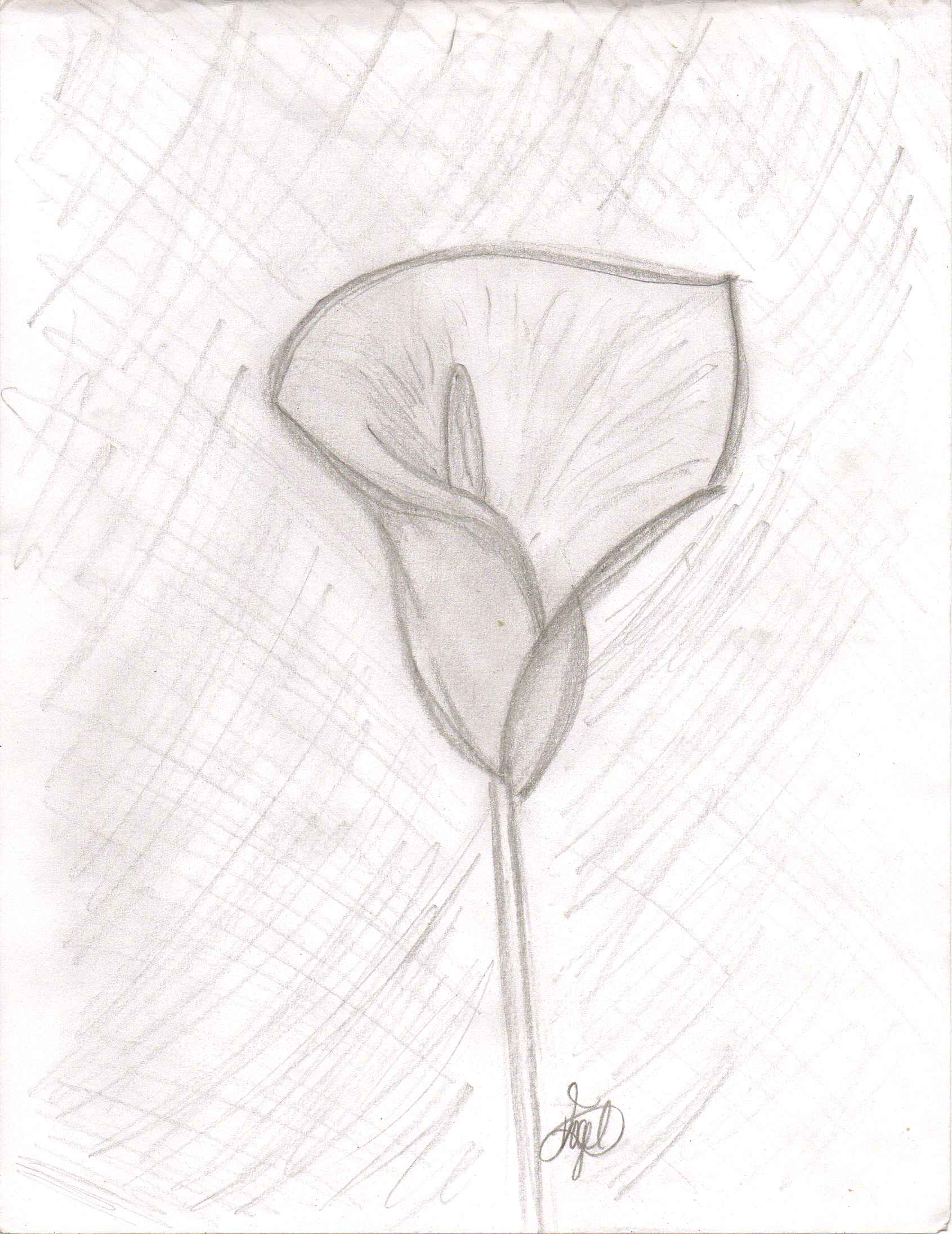 1691x2191 Flower E2 80 93 Page 20 Pencil Art Drawing Drawings Pictures