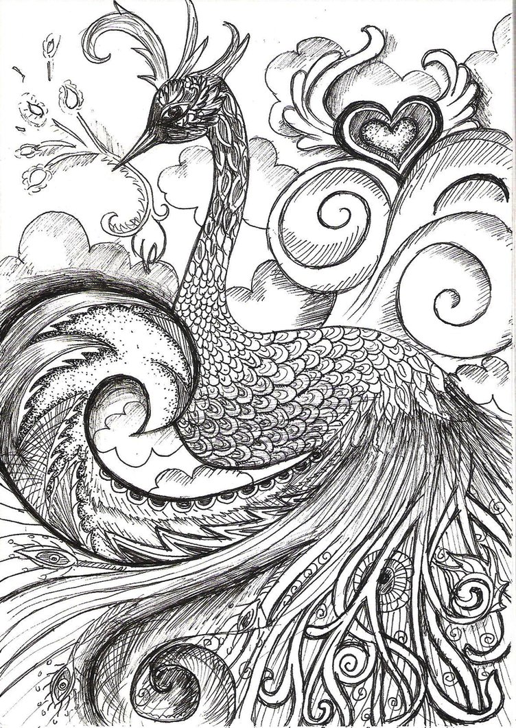 752x1061 Peacock Pencil Drawings