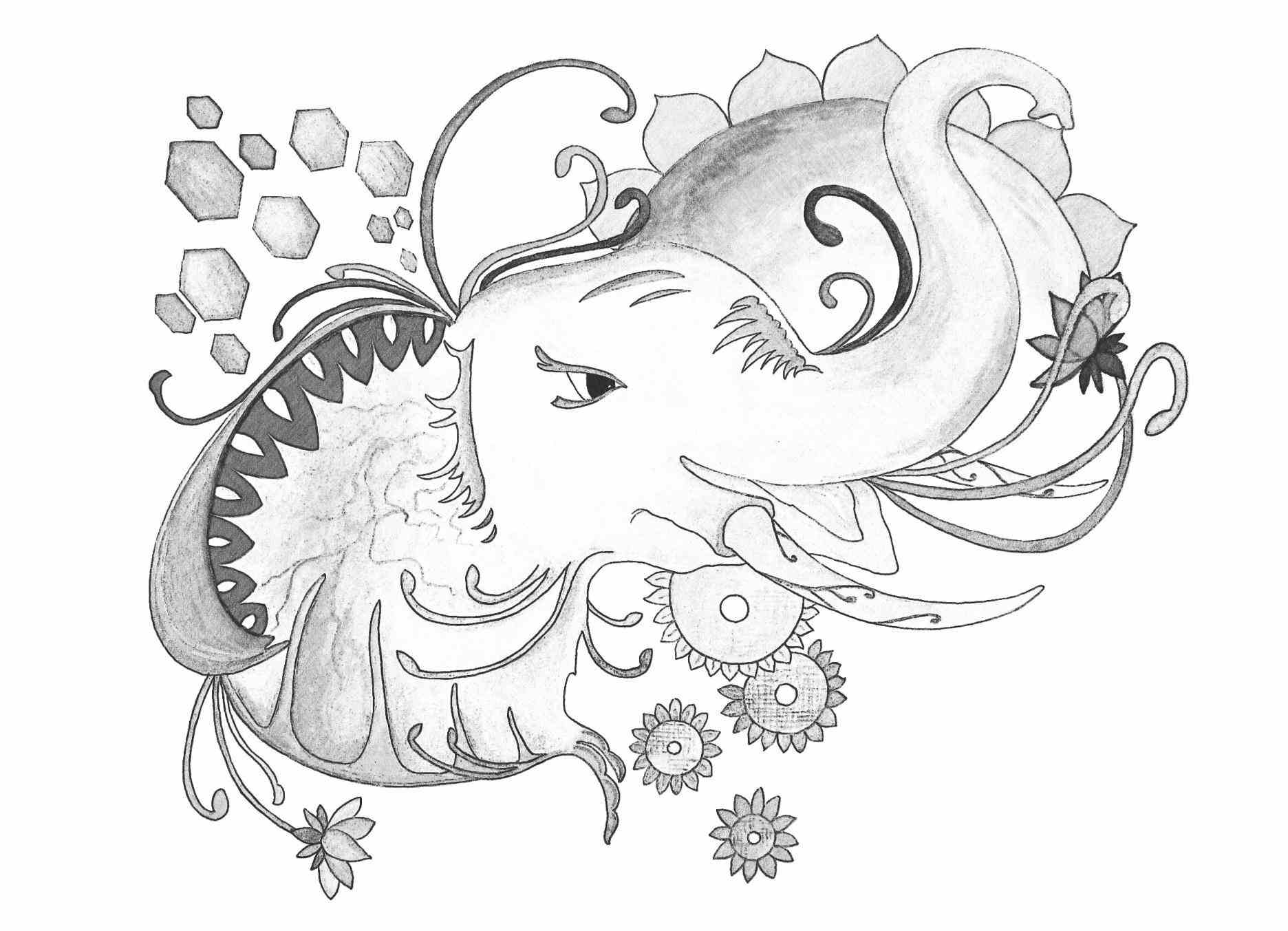 1872x1353 Peacock Pencil Drawing