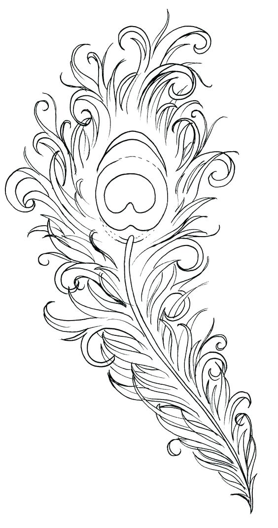 564x1069 Peacock Coloring Pages Minimalist Peacock Coloring Pages Kids