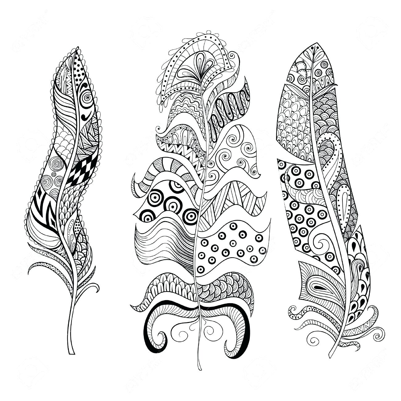1300x1300 Coloring Peacock Feather Coloring Page Vector Illustration