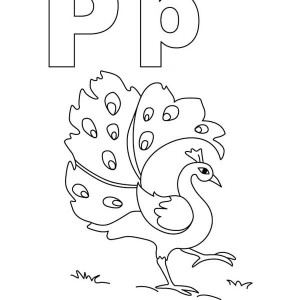 300x300 An Elegant Peacock With Stunning Plumage Feather Coloring Page