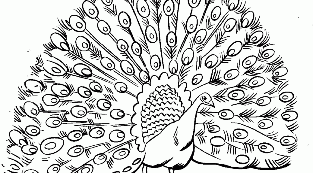 1038x576 Imagination Peacock Coloring Page Pages Printable In Tiny Draw