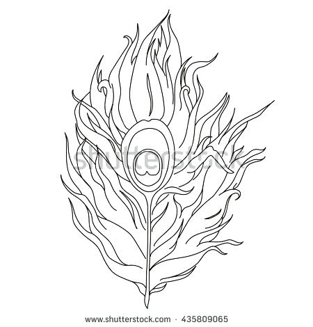 450x470 Peacock Feather Coloring Page Coloring Page Outline Hand Drawn