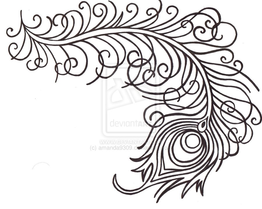 900x718 Peacock Feather Drawing Outline